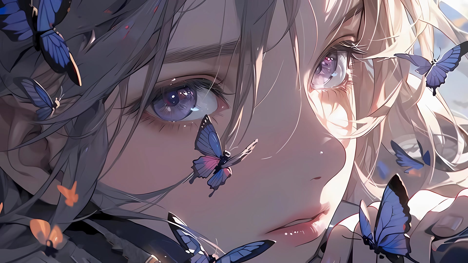 泪眼蝴蝶少女