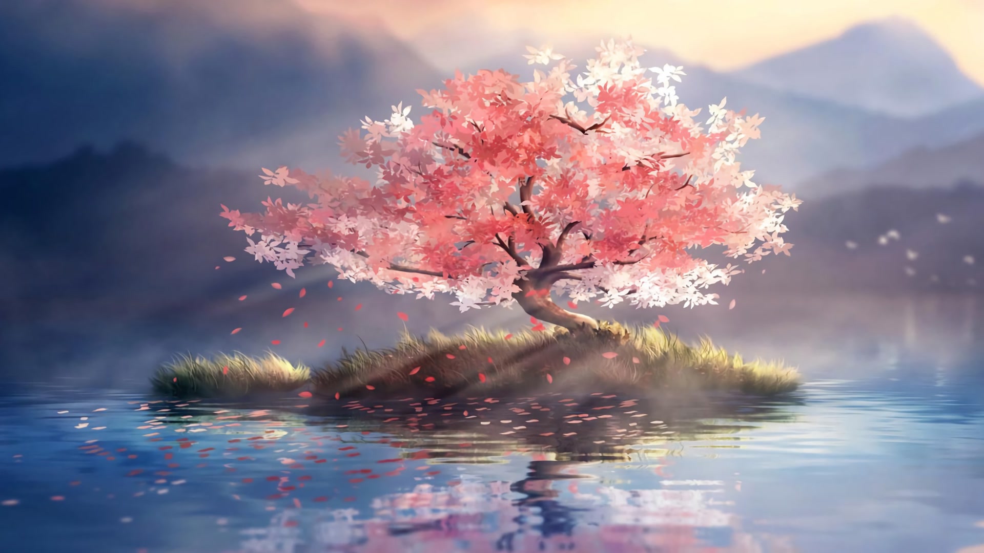 孤树繁花映水