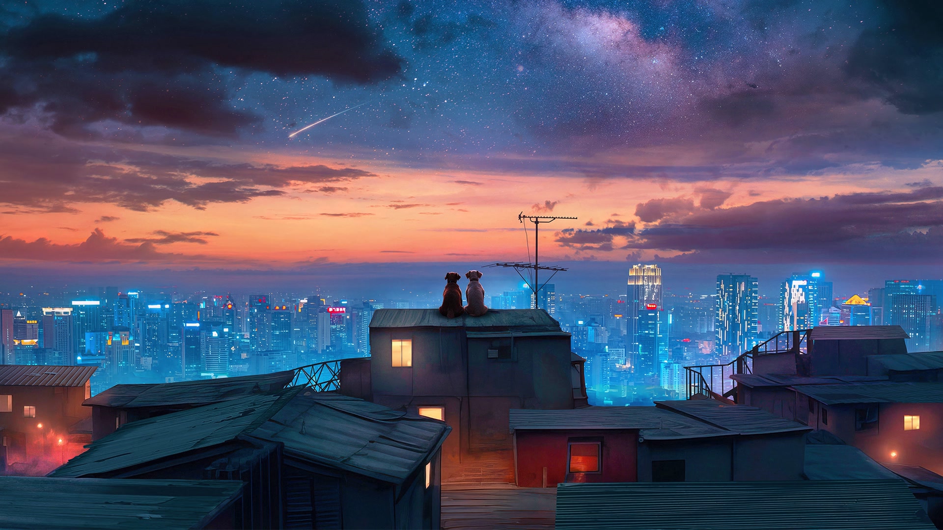 屋顶双狗观星